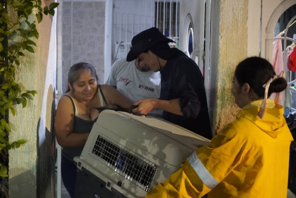 Resguarda Ayuntamiento a 36 animalitos, tras inundaciones en Mérida