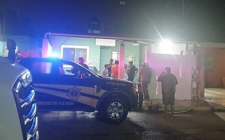 Mete en problemas otro pitbull a sus dueños
