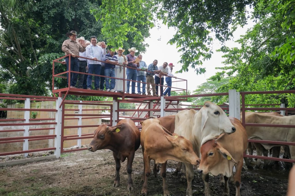 Se siembra el Renacimiento Maya en el sur de Yucatán