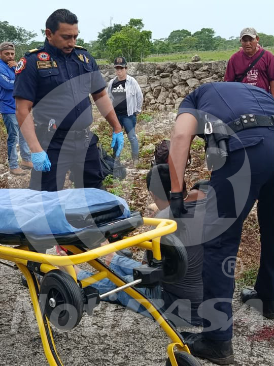 Provocó perro accidente en la carretera Buctzotz–Yalsihón