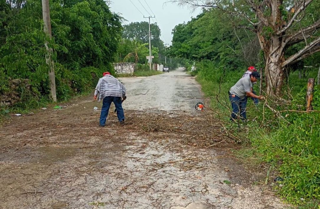 Realizan operativo de poda preventiva en Tizimín, ante temporada de lluvias