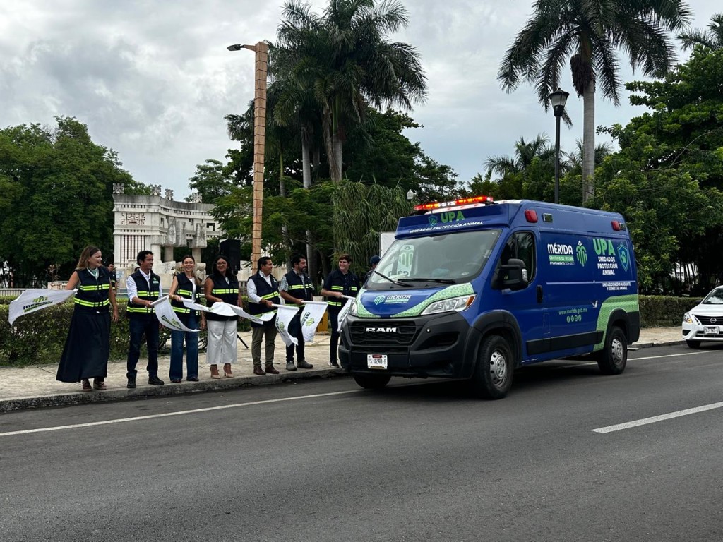 Realizan primer mega operativo de protección animal en Mérida