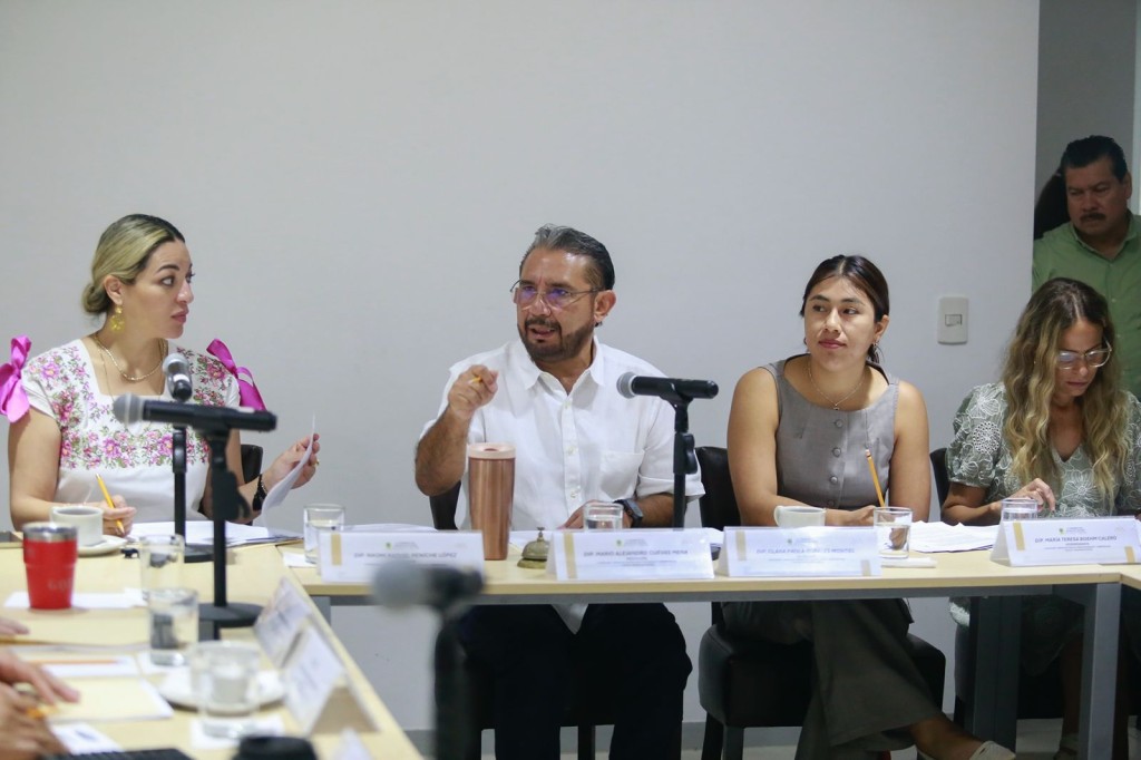 Comisiones Unidas del Congreso avanzan en el proceso de consulta a personas con discapacidad