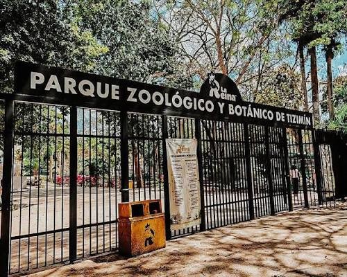 Riguroso protocolo para recibir animales en el zool&oacute;gico de Tizim&iacute;n