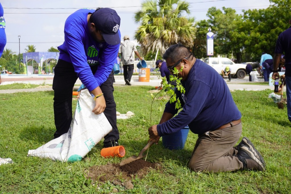 Avanza la Cruzada Forestal con la siembra de más de 4,700 árboles, en Mérida