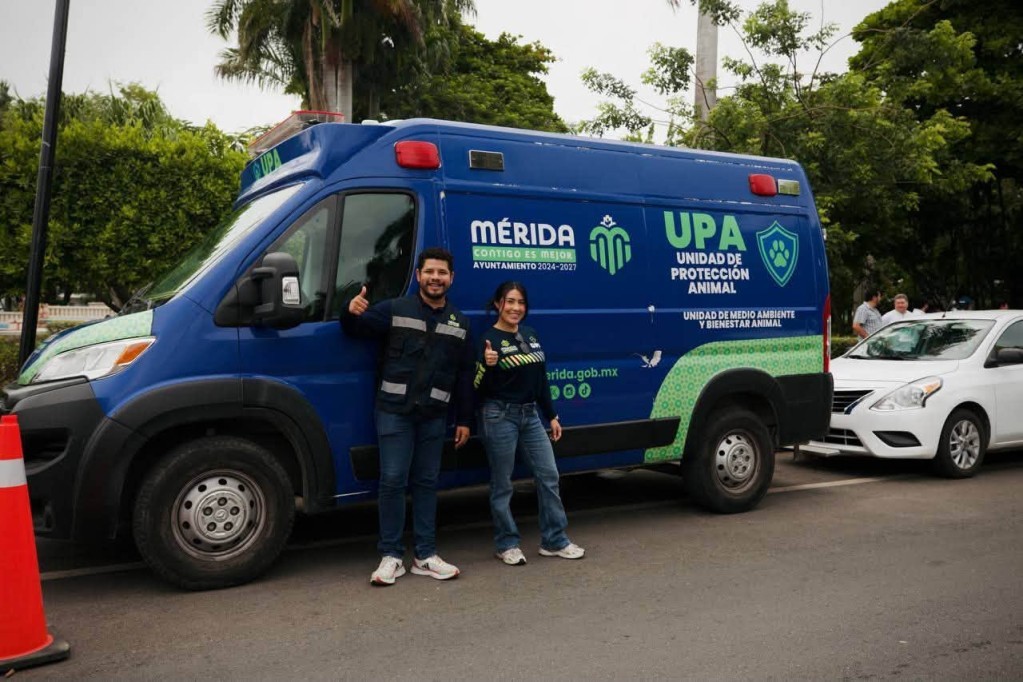 Ha dado en adopción Ayuntamiento de Mérida más de 300 mascotas