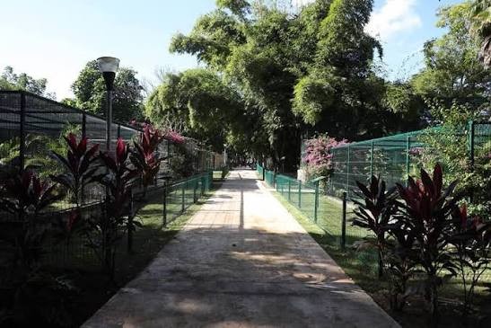 Mejoran instalaciones del zoológico de Tizimín para fortalecer el bienestar animal