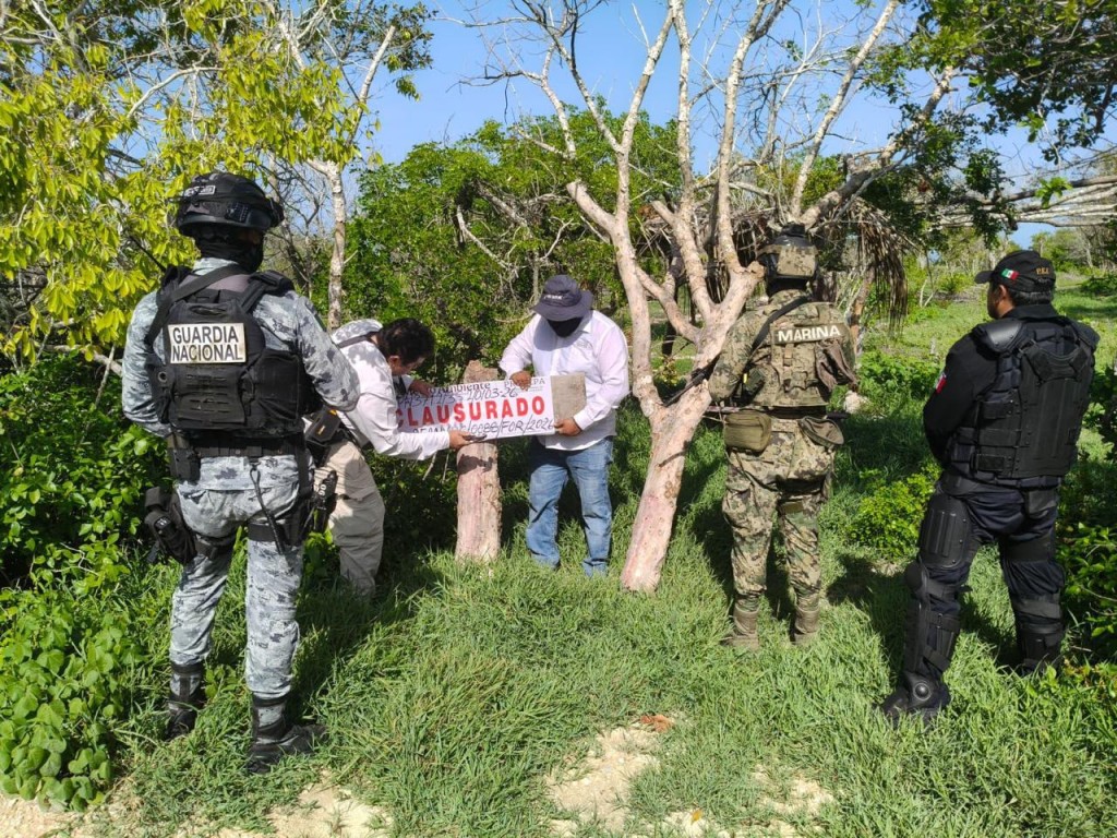 Clausura Profepa 17 pol&iacute;gonos en la Reserva de la Biosfera R&iacute;a Celest&uacute;n
