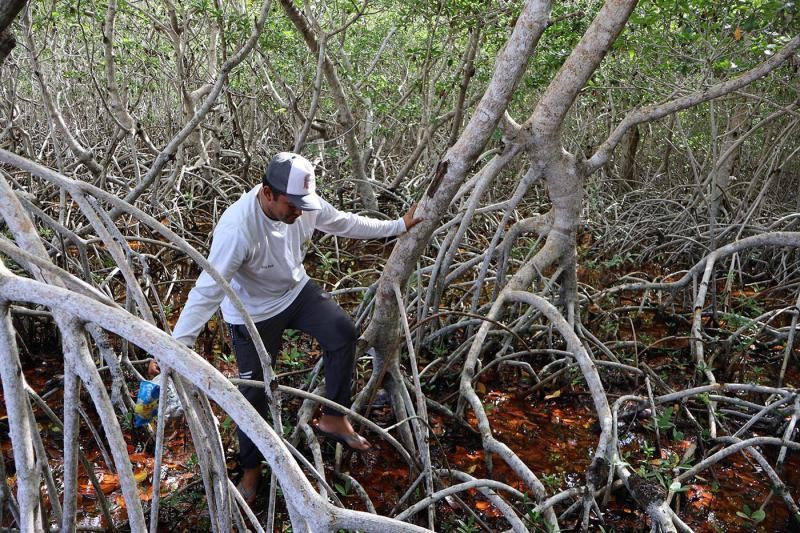 Residuos tóxicos ponen en riesgo la riqueza natural del litoral de oriente