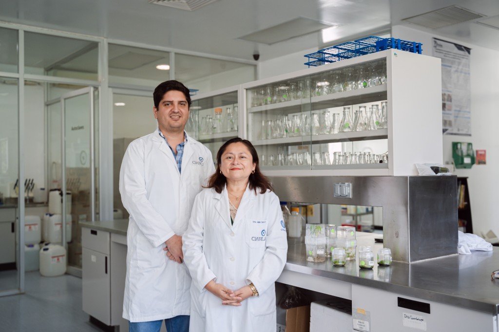 Se reunir&aacute;n en Yucat&aacute;n especialistas mundiales en biotecnolog&iacute;a