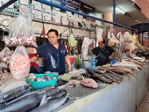 Arranca remodelación del área de mariscos en el mercado Lucas de Gálvez