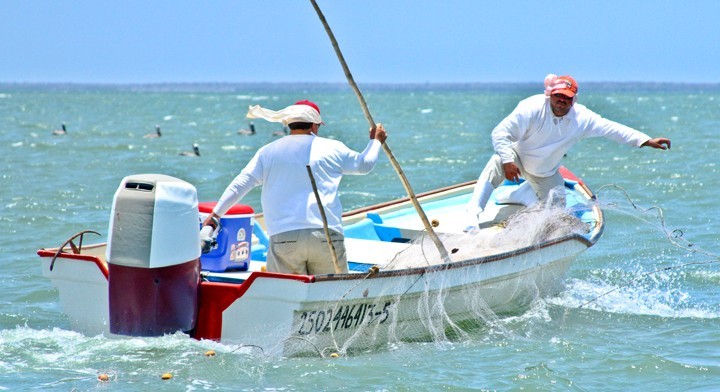 Es momento especial para los hombres de mar: todas las pesquerías están abiertas