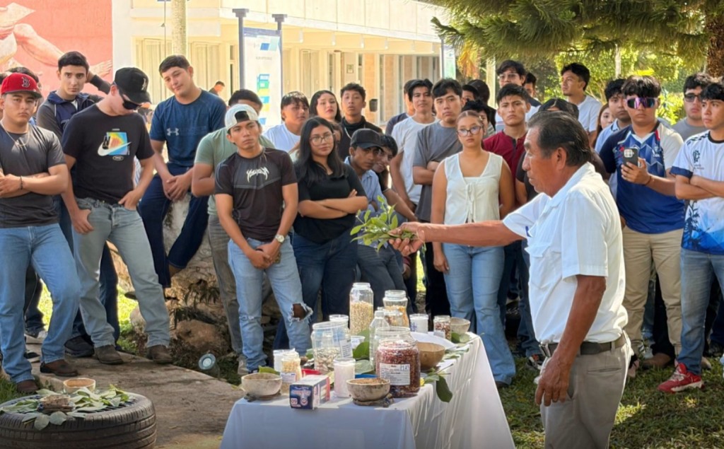 Celebran al ma&iacute;z como s&iacute;mbolo de identidad y futuro, en Tizim&iacute;n