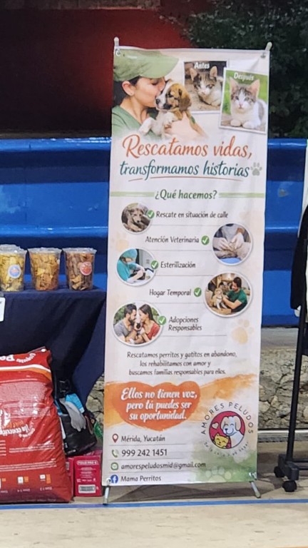 Reunió feria de adopciones caninas a familias y rescatistas, en Mérida