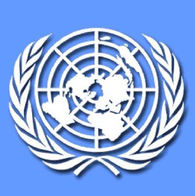 Las mujeres no alcanzan el 30% en cargos de decisión política en el mundo: ONU Las mujeres no alcanzan el 30% en cargos de decisión política en el mundo: ONU