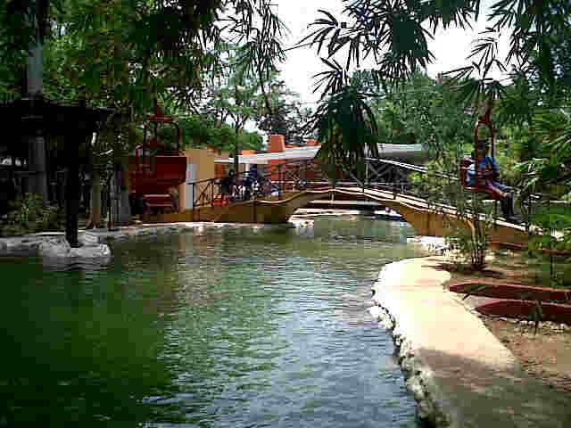 Baja afluencia de visitantes este 1 de julio en los Zoológicos Baja afluencia de visitantes este 1 de julio en los Zoológicos