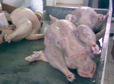Productores de carne de pavo, puerco y res vivirán una dura navidad por el alza de productos Productores de carne de pavo, puerco y res vivirán una dura navidad por el alza de productos