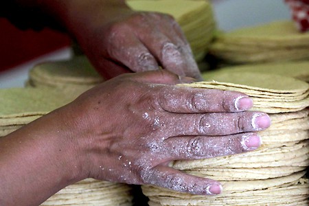 Mostrarán resultados del apoyo federal a la industria molinera en Yucatán Mostrarán resultados del apoyo federal a la industria molinera en Yucatán