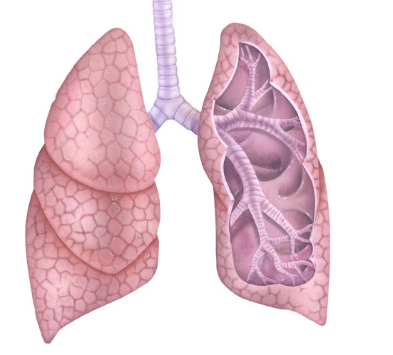 Ante las lluvias especialistas emiten recomendaciones para evitar las enfermedades en las vías respiratorias. Ante las lluvias especialistas emiten recomendaciones para evitar las enfermedades en las vías respiratorias.