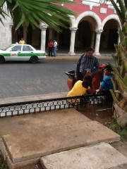 Alertan: no hay colecta del seminario Alertan: no hay colecta del seminario