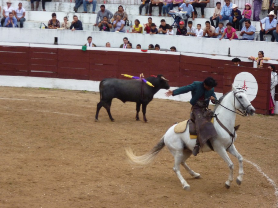 Tizimín: Ferviente ambiente taurino en Panabá\r\n Tizimín: Ferviente ambiente taurino en Panabá\r\n