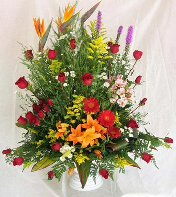 Las flores nunca fallan, siempre un buen regalo Las flores nunca fallan, siempre un buen regalo