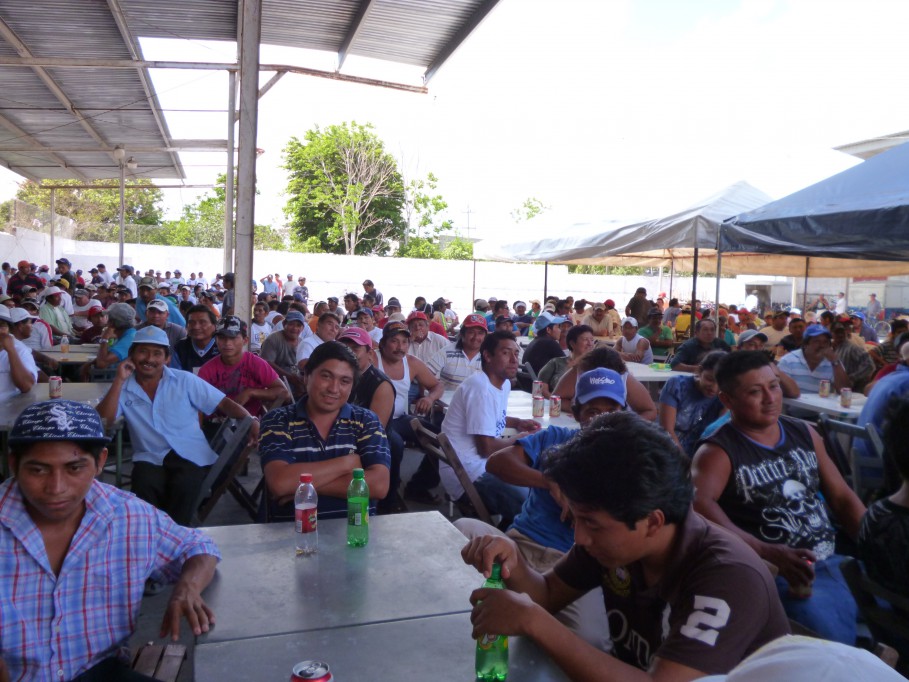 Tizimín: Celebran a los maestros de la cuchara los albañiles"\r\n Tizimín: Celebran a los maestros de la cuchara los albañiles"\r\n