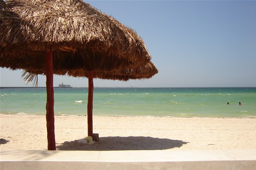 Yucatán participa en evento nacional para la sustentabilidad de Playas Yucatán participa en evento nacional para la sustentabilidad de Playas
