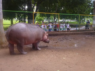 Preparativos para el día del niño en el zoológico Preparativos para el día del niño en el zoológico