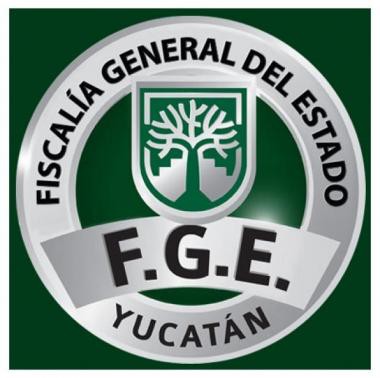 Adultos mayores ingresan al IMSS por fracturas