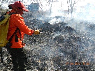 Se reportan hasta siete incendios por día en Yucatán Se reportan hasta siete incendios por día en Yucatán