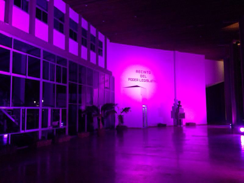 Iluminan de Rosa la sede del Poder Legislativo Iluminan de Rosa la sede del Poder Legislativo