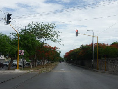 El Ayuntamiento cerrará el tramo del Circuito Colonias a la calle 21 de Buenavista El Ayuntamiento cerrará el tramo del Circuito Colonias a la calle 21 de Buenavista
