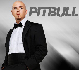 Pit Bull en Mérida Pit Bull en Mérida