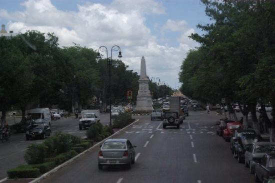 Reforestan y mejoran la herrería en los arriates del Paseo de Montejo Reforestan y mejoran la herrería en los arriates del Paseo de Montejo