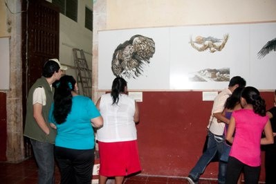 La exposición de Serpientes Gigantes y Pájaros Mágicos de Juan Ramón Chan Alvarado, presente en la fiesta de Espita La exposición de Serpientes Gigantes y Pájaros Mágicos de Juan Ramón Chan Alvarado, presente en la fiesta de Espita
