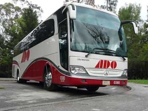 Mas de 4 mil personas viajan en ADO al día en temporada decembrina Mas de 4 mil personas viajan en ADO al día en temporada decembrina
