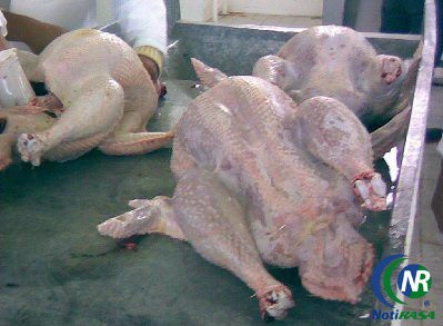 El precio del pavo no aumentó en la víspera de la Navidad El precio del pavo no aumentó en la víspera de la Navidad