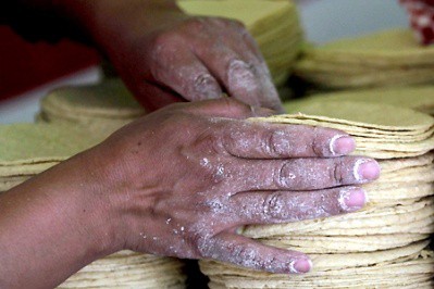 Aumentaría el precio de la tortilla de $14 a $15 Aumentaría el precio de la tortilla de $14 a $15