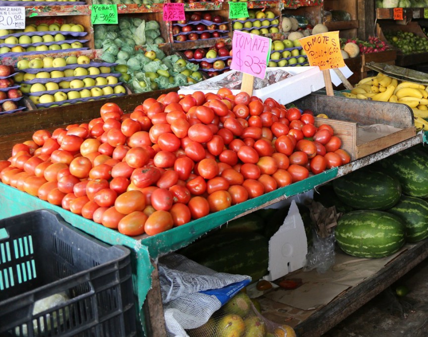 Los precios de la Central de Abasto se mantienen Los precios de la Central de Abasto se mantienen