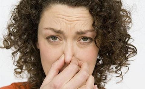Mala alimentación y estrés pueden causar flatulencias Mala alimentación y estrés pueden causar flatulencias