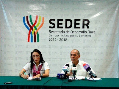 Detallan el programa "Empleo temporal para pescadores" Detallan el programa "Empleo temporal para pescadores"