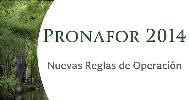 Presenta la CONAFOR las reglas de operación del PRONAFOR Presenta la CONAFOR las reglas de operación del PRONAFOR