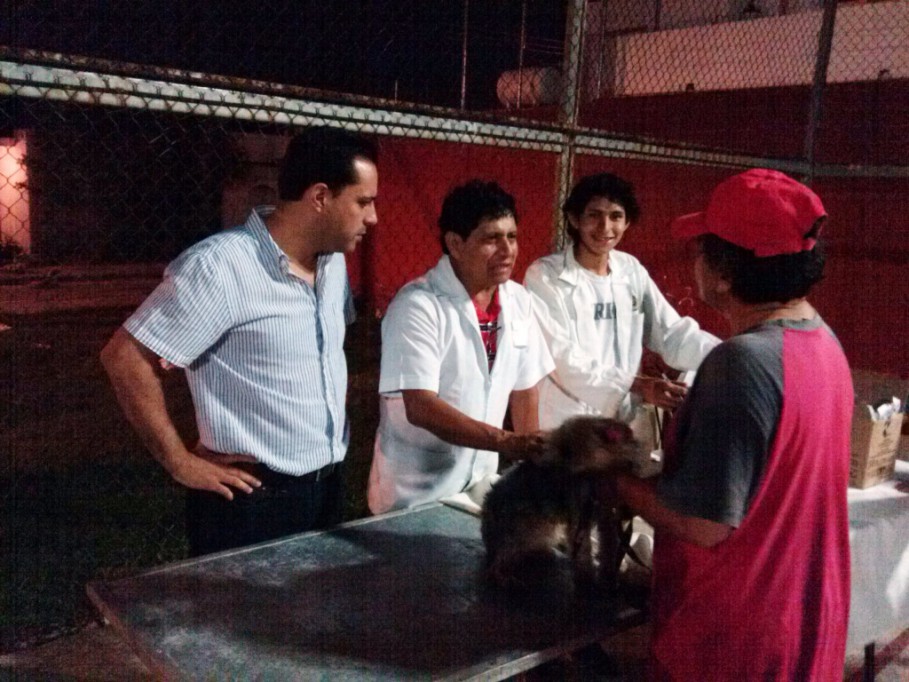Vila en tu Colonia ya incluye servicios veterinarios Vila en tu Colonia ya incluye servicios veterinarios