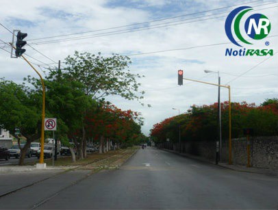La repavimentación de la 60 Norte lleva una avance del 70% La repavimentación de la 60 Norte lleva una avance del 70%