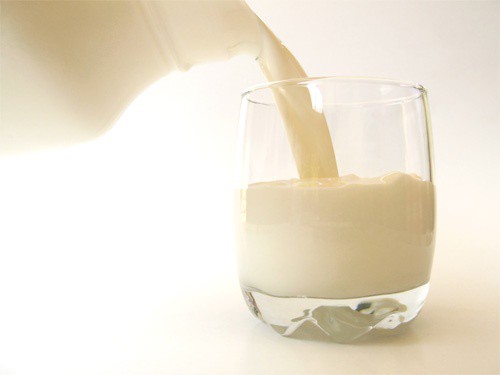 La leche en Yucatán no cumple estándares para exportación La leche en Yucatán no cumple estándares para exportación