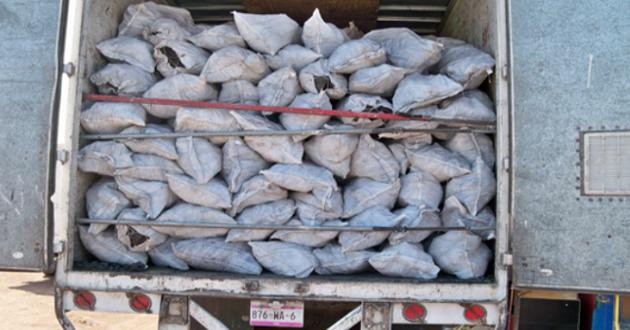 Yucatán provee de carbón ilegal al país Yucatán provee de carbón ilegal al país
