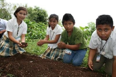 Vinculan la pedagogía con la actividad de la siembra Vinculan la pedagogía con la actividad de la siembra