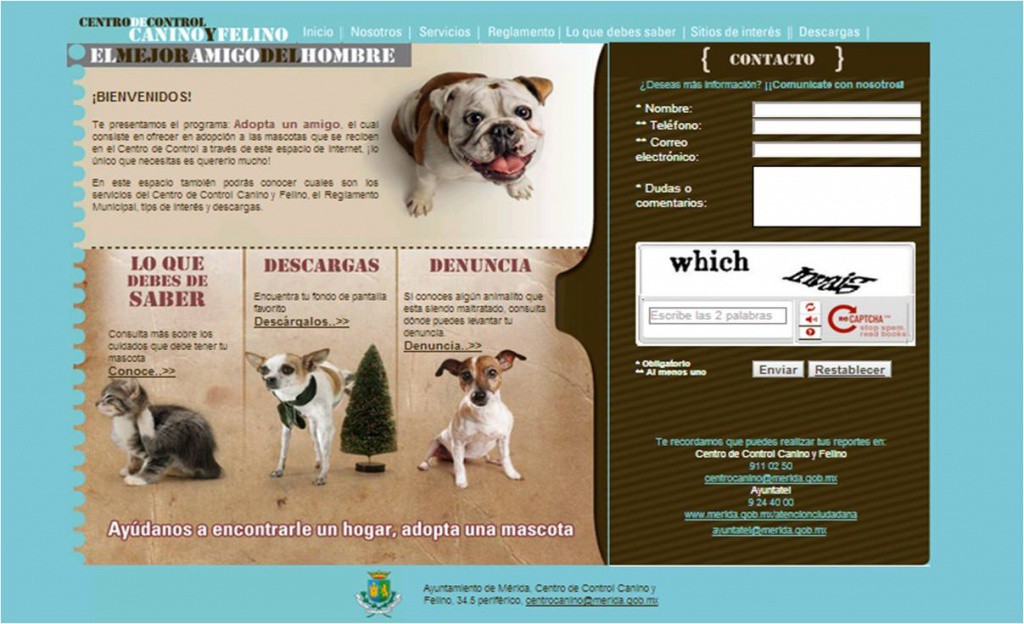 El Ayuntamiento de Mérida promueve la adopción de 80 animales El Ayuntamiento de Mérida promueve la adopción de 80 animales