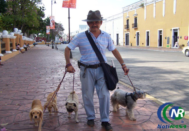 En su hobby encontró trabajo: El encantador de perros vallisoletano. En su hobby encontró trabajo: El encantador de perros vallisoletano.